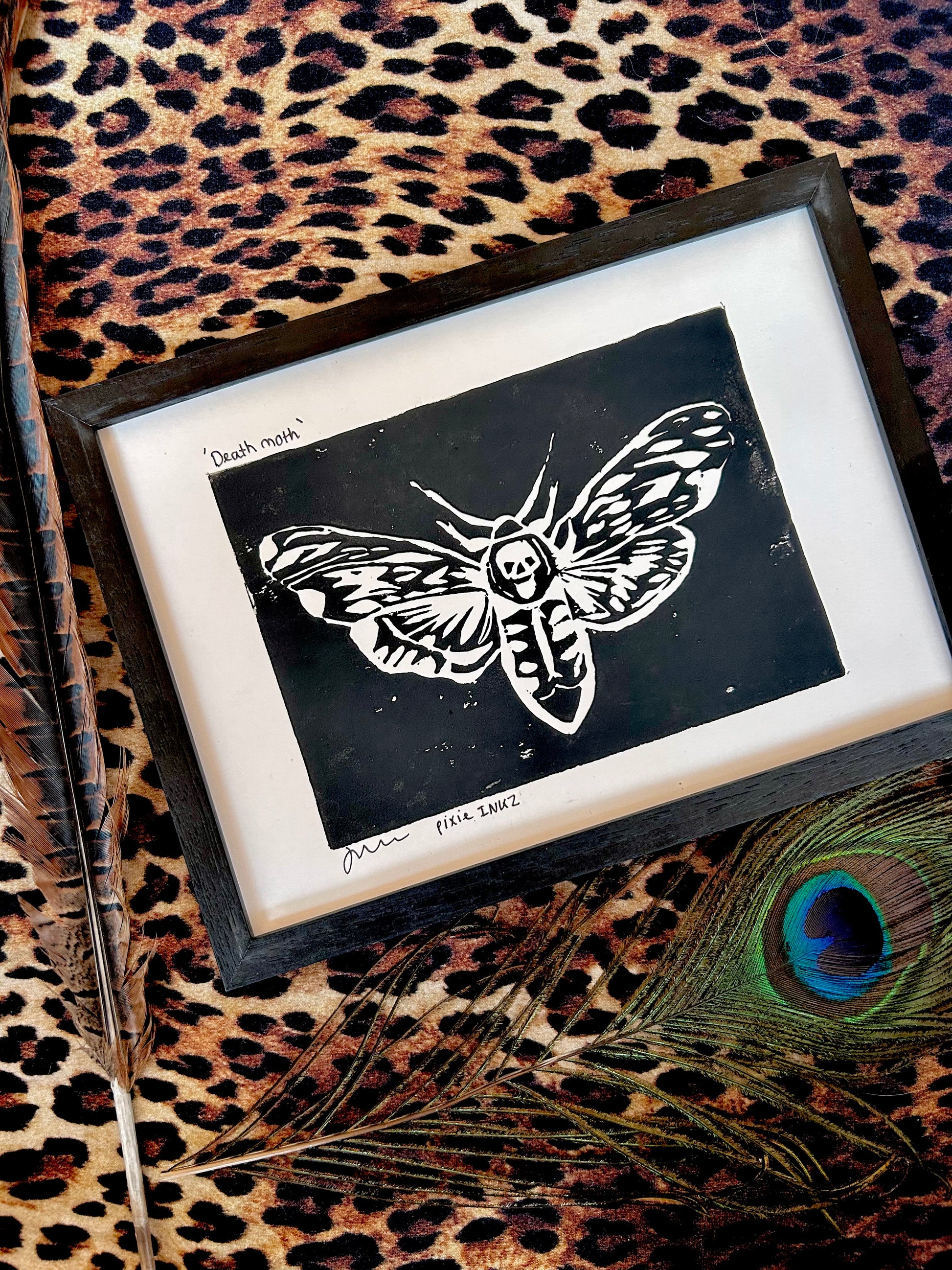 Moth Lino print in a frame, leopard print background with peacock feathers 